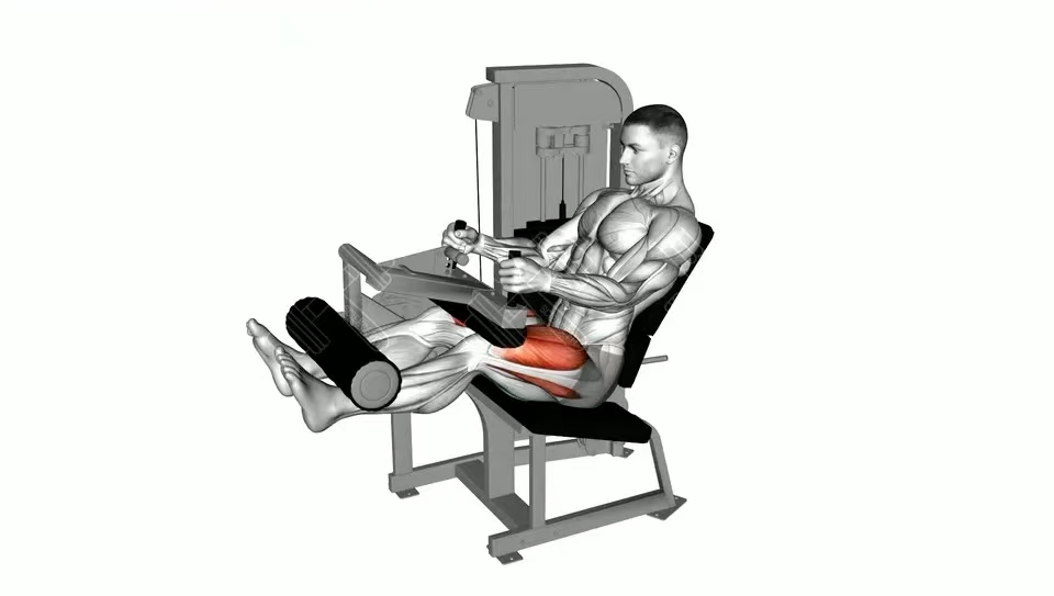 c0cc0ff30100183e366e32322641857 c0cc0ff30100183e366e32322641857.png