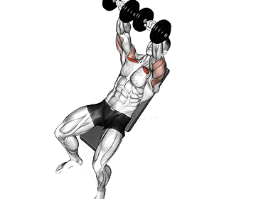 Dumbbell Incline Press