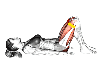 Glute Bridge with Resistance Band