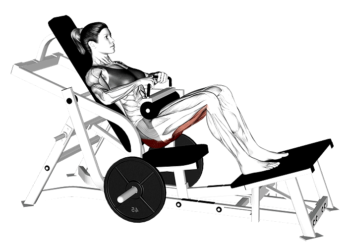 Hip Thrust Machine Weight Structure