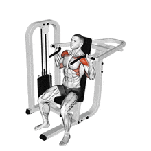 How I Use the Incline Shoulder Press Machine the Right Way