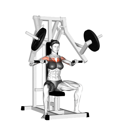 How to Use the Incline Chest Press Machine Correctly