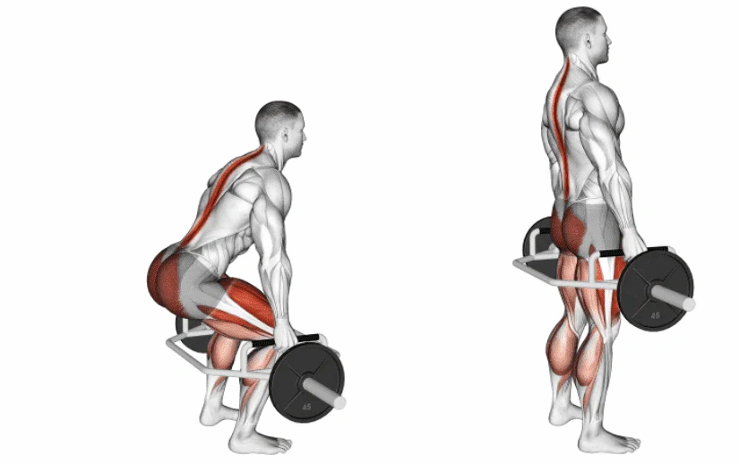 Trap Bar Deadlift