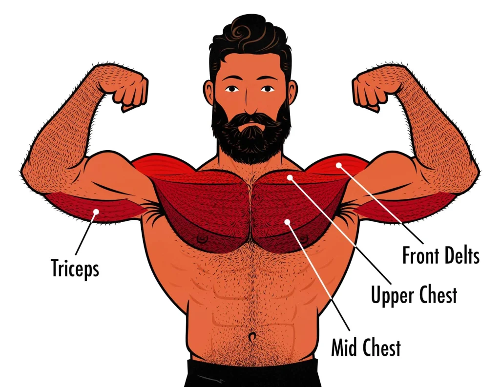 What Is the Incline Chest Press Machine