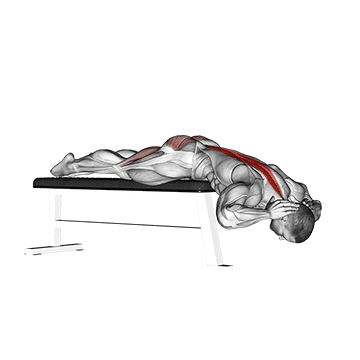 hyperextensions-flat-bench