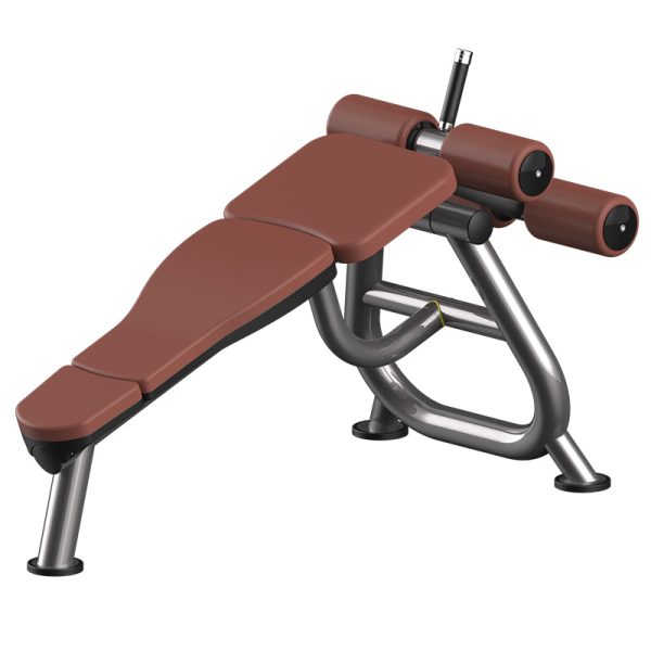 Professional Fixed Angle Sit-Up Bench