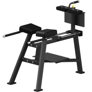 Commercial Back Extension Equipment