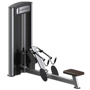 Commercial-Grade Low Row Machine for Full-Back Development
