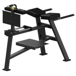 Customizable Back Extension Machine with Safety Mechanisms