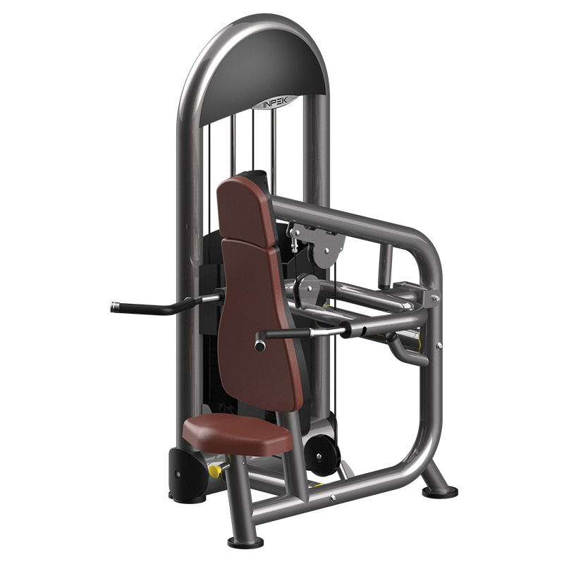 Customizable Tricep Dip Machine with 80kg Counterweight
