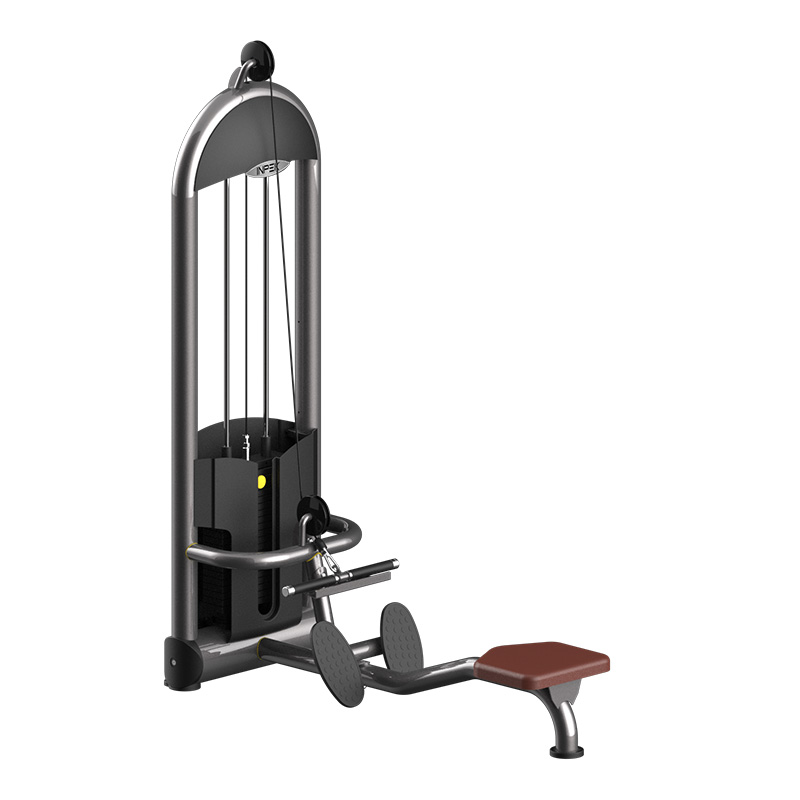 Industrial-Grade Gym Low Row with ABS Protection