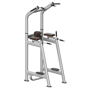 Knees Raise Machine with moving