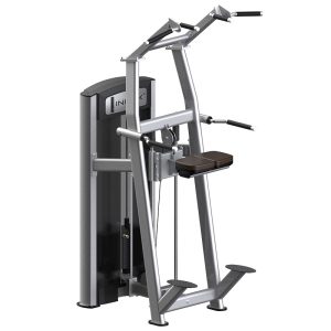 Multifunctional Assisted ChinDip Trainer for Full-Body Conditioning