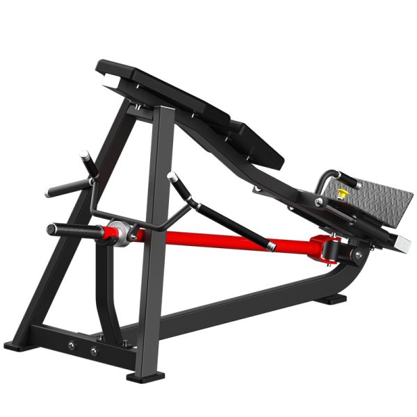 Plate Loaded Pull Back for Multi-Muscle Strength Training