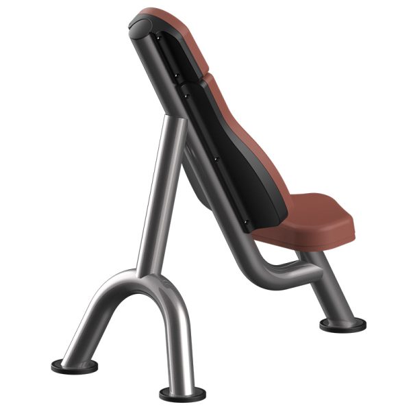 Premium Incline Bench 60° with 60° backseat