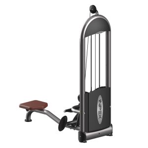 Professional-grade Low Row equipment