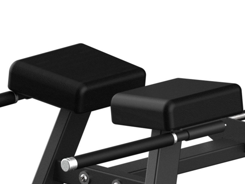 Whether you’re targeting lower back strength