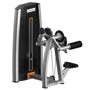 Customizable Lateral Raise Trainer with Q235 Steel Weights