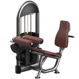 Seated Leg Curl with 5-Position Customization