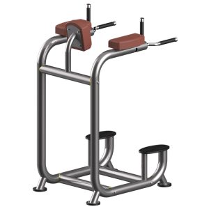 Upgrade your gym with Knees Raise(New)
