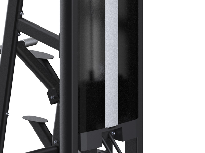 Assisted DipChin Up, a dual-function