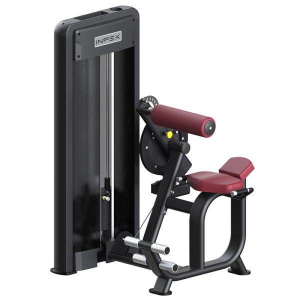 Commercial-Grade AbBack Trainer with 120kg Capacity