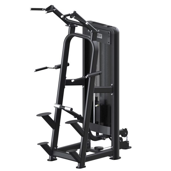 Commercial-grade Assisted DipChin Up
