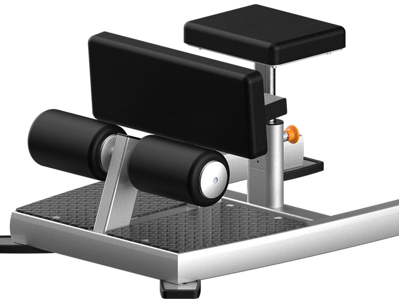 Easy SquatSit-Up exemplifies