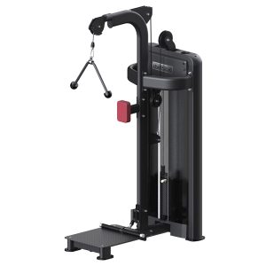 Standing BicepsTriceps Machine Dual-function