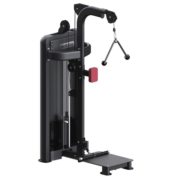 Standing BicepsTriceps Machine with Quick-Switch Design