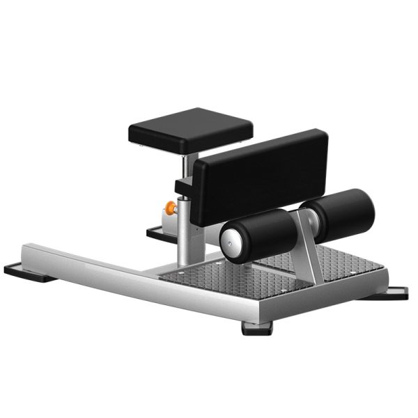 Train smarter! All-in-one Easy SquatSit-Up