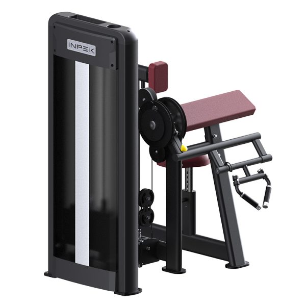 icepsTriceps machine features