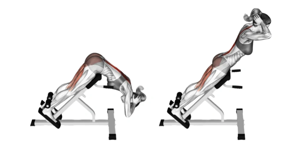 6 Effective Back Extension Alternative for a Stronger Lower Back