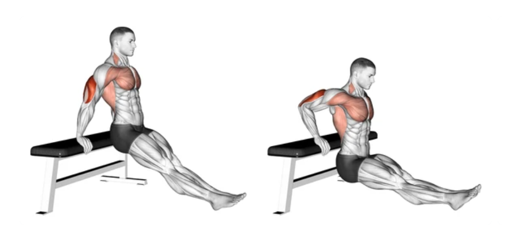 Bench Dips
