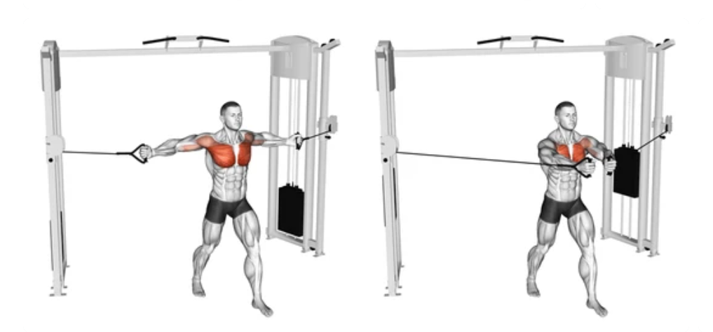 Cable Chest Fly