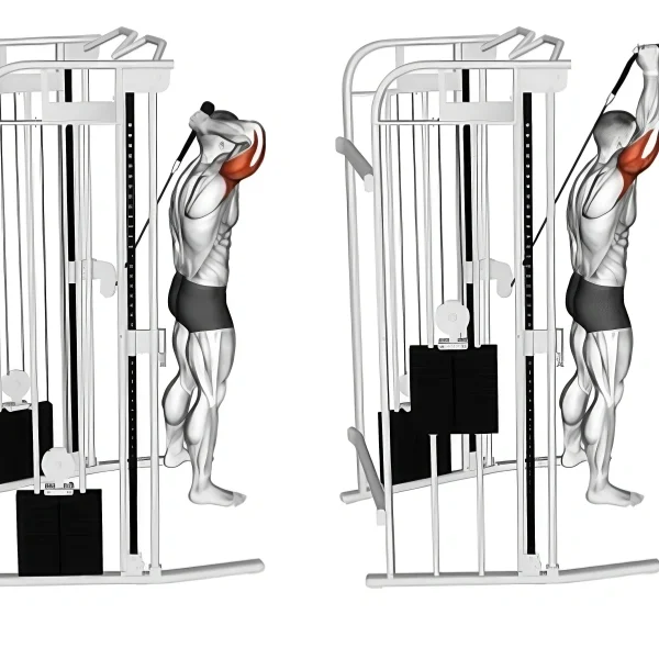 Ultimate Tricep Workout Routine for Stronger Arms