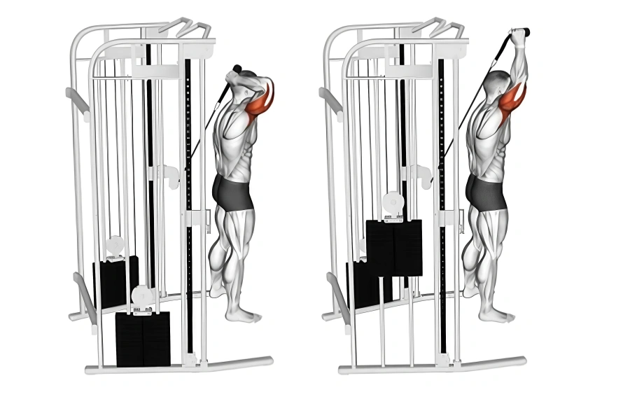Cable Overhead Tricep Extension