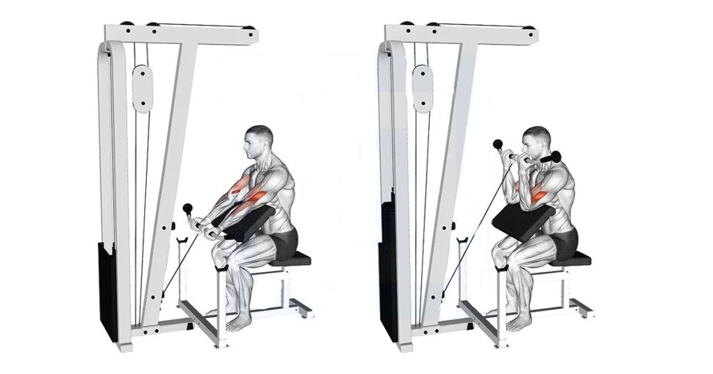 Cable Preacher Curl