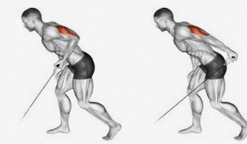 Cable Triceps Kickback
