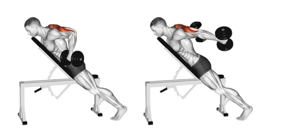 Chest-Supported Tricep Kickback