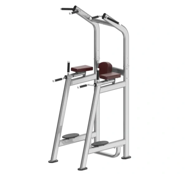 Pull Up Machine Weight Guide for Beginners and Progress