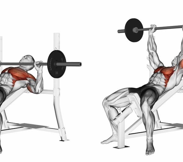 6 Best Tricep Dip Alternative for Effective Arm Training