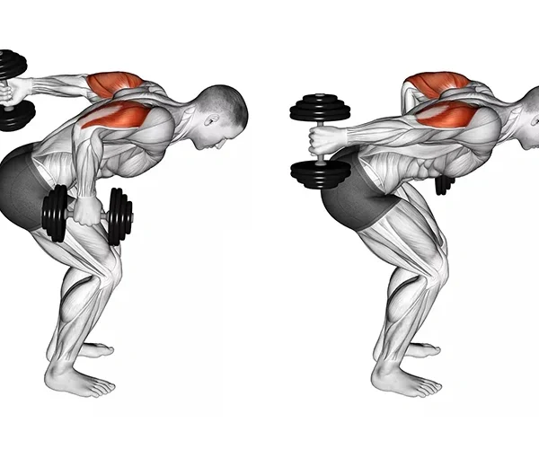 Best Lateral Head Tricep Exercises to Build Outer Arm Definition