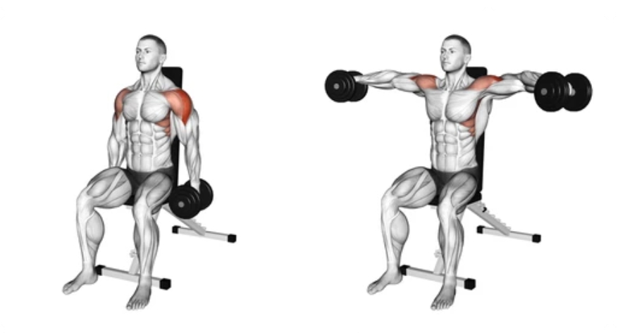 Lateral Raise