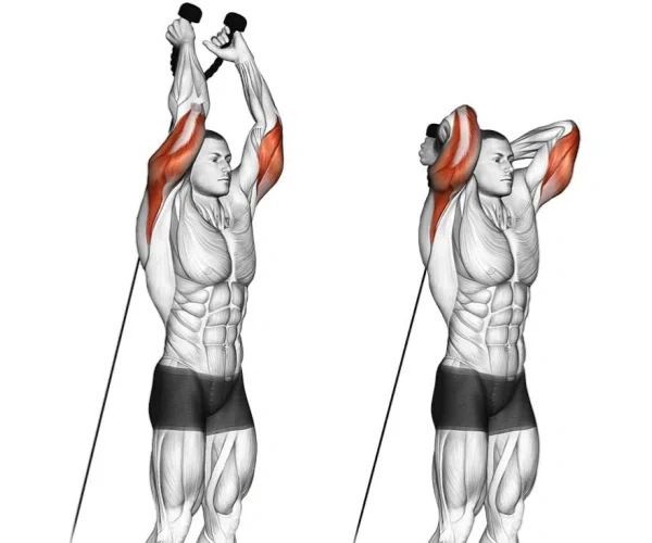 Top Shoulder and Tricep Workout to Build Strength