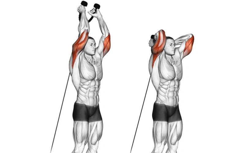 Overhead Tricep Extension Cable