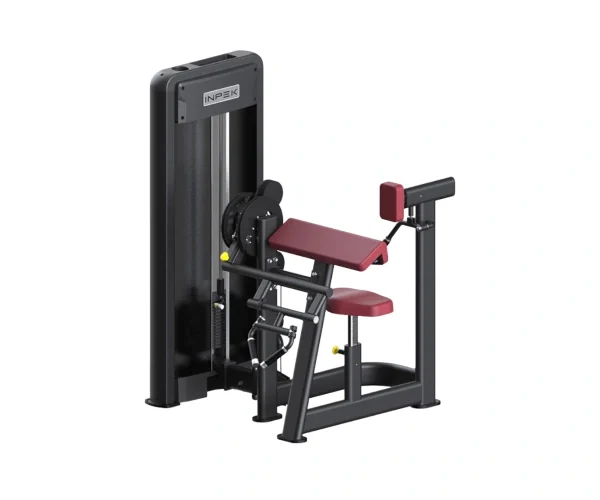 Seated Arm Curl Machine Guide for Better Biceps