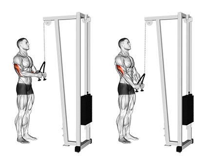 Rope Pushdown