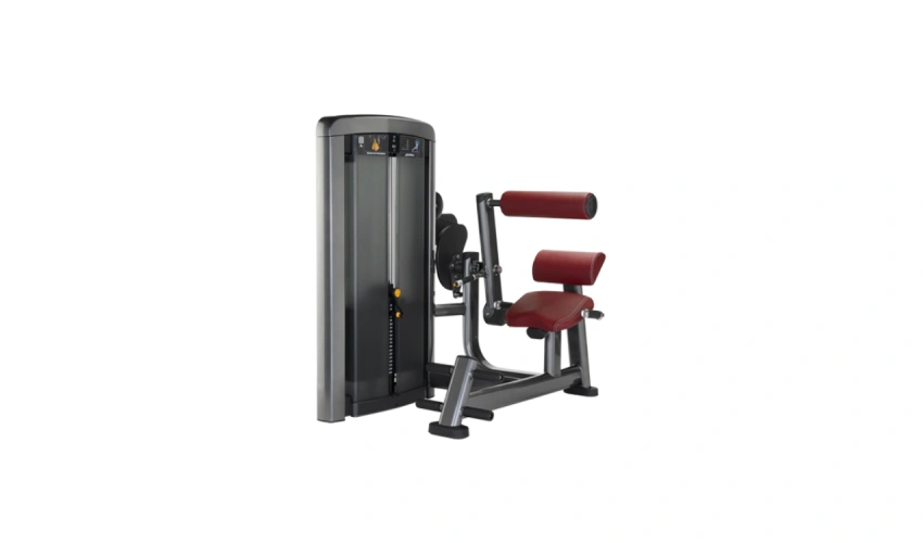 Seated Back Extension Machine