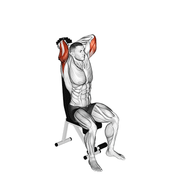 Seated Dumbbell Overhead Extension